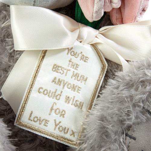 YOUR THE BEST MUM BEAR 3